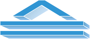 NetSoft logo